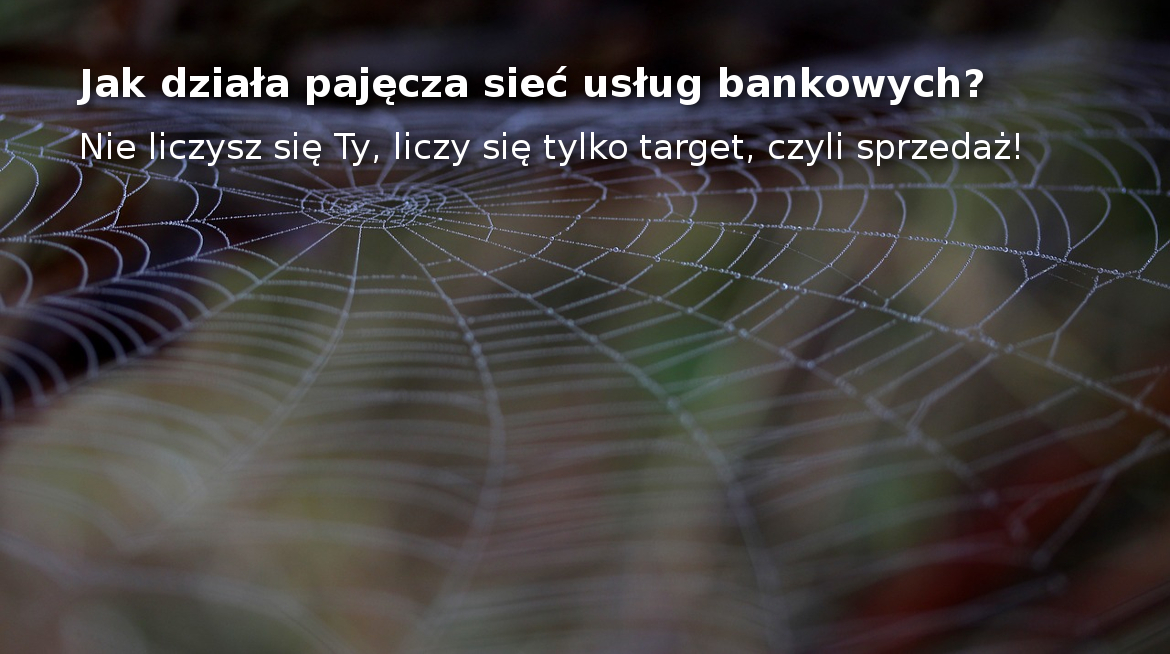 W pajęczej sieci usług bankowych