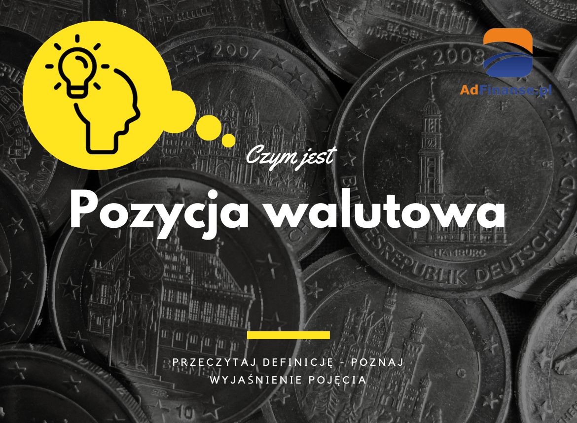 Pozycja walutowa - definicja, pojęcie
