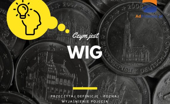 WIG - definicja, pojęcie